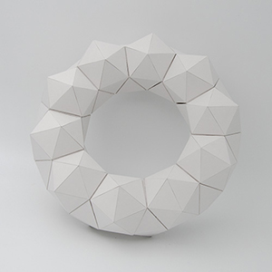Deltahedron torus